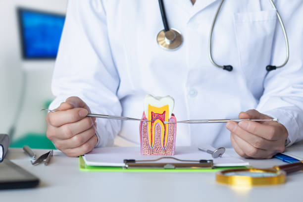 Best Dental Abscess Treatment in Fillmore, UT